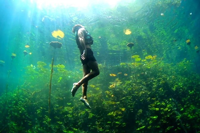 4-in-1 Cenote Tour Guided Experience with Breakfast, Lunch & Wine - Four cenotes, four distinct activities