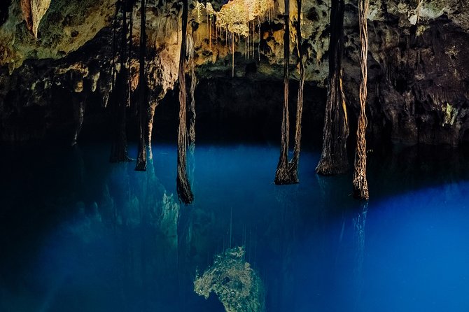 4-in-1 Cenote Tour Guided Experience with Breakfast, Lunch & Wine - How the transport affects the day