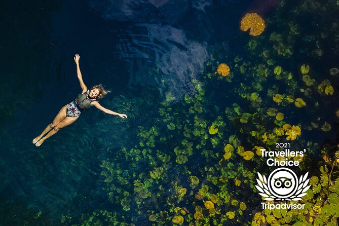 4-in-1 Cenote Tour Guided Experience with Breakfast, Lunch & Wine - Guides, group size, and the pace