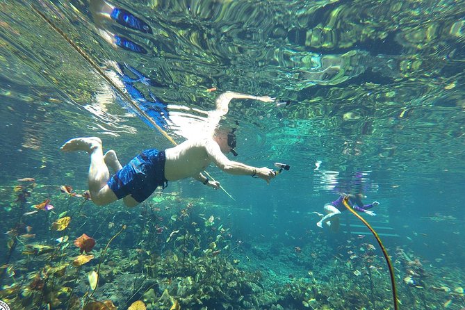 4 Private Cenotes, Zip-Lines, Canoes & Mayan Village with Delicious Lunch - A Mayan village meal brings the day back to earth