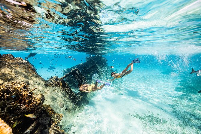 5-in-1 Cancun Snorkeling: Turtles, Reef, Musa, Shipwreck, Cenote - The boat ride, group size, and comfort
