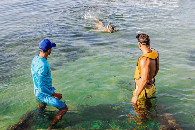 5-in-1 Cancun Snorkeling: Turtles, Reef, Musa, Shipwreck, Cenote - How weather can change the day