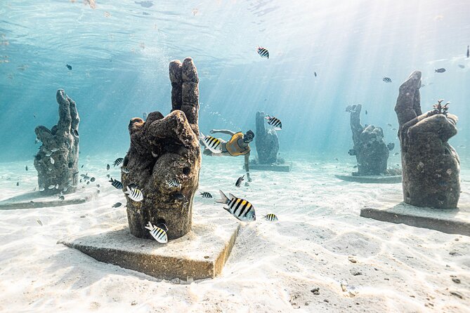 5-in-1 Cancun Snorkeling: Turtles, Reef, Musa, Shipwreck, Cenote - The best departure time and practical tips