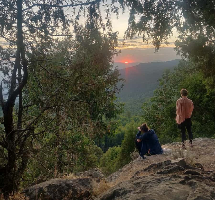 Addis Ababa: Debre Libanos, Blue Nile Gorge, and Cave Tour - Is the $94 price good value?