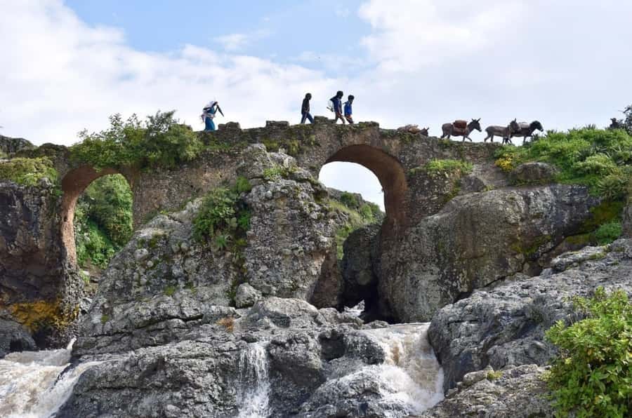 Addis Ababa: Debre Libanos, Blue Nile Gorge, and Cave Tour - Gelada baboons and highland wildlife