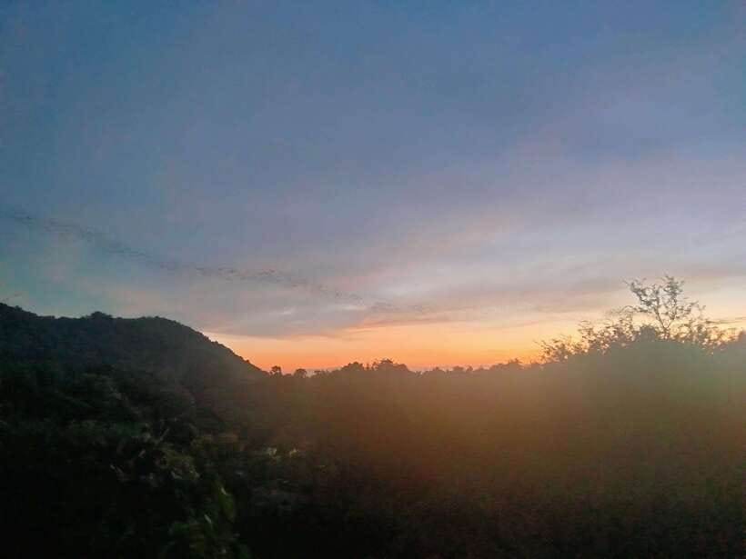 Afternoon Tour: Bamboo Train, Killing Cave &Bat Cave - Who should book this experience