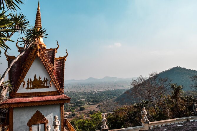 Afternoon tour by tuk tuk to bamboo train,bat cave,killing cave,countryside. - The bat flight near sunset