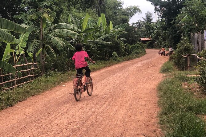 Afternoon tour by tuk tuk to bamboo train,bat cave,killing cave,countryside. - Is $15 good value?