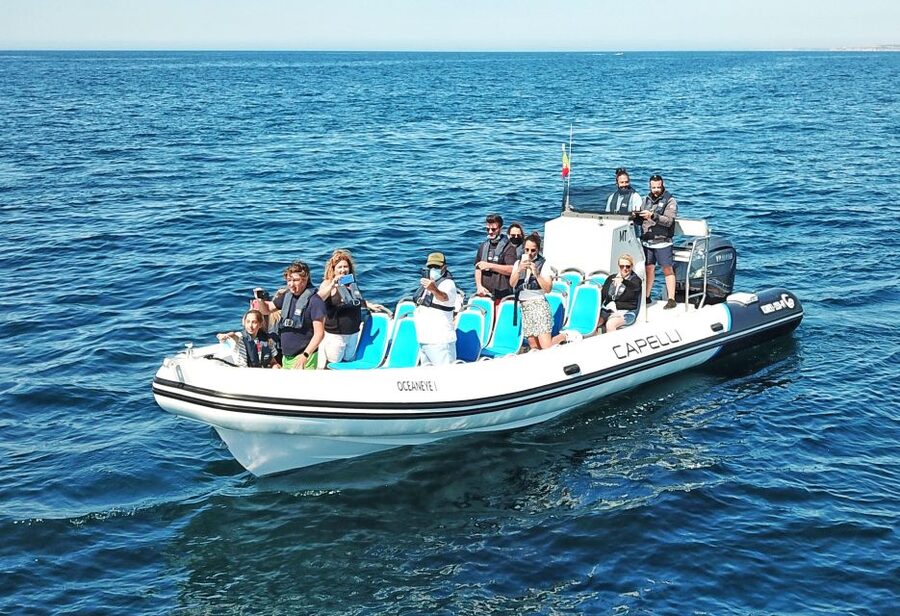 Albufeira: Benagil Cave and Dolphin Sightseeing Boat Cruise - Should You Book Oceaneye Algarve?