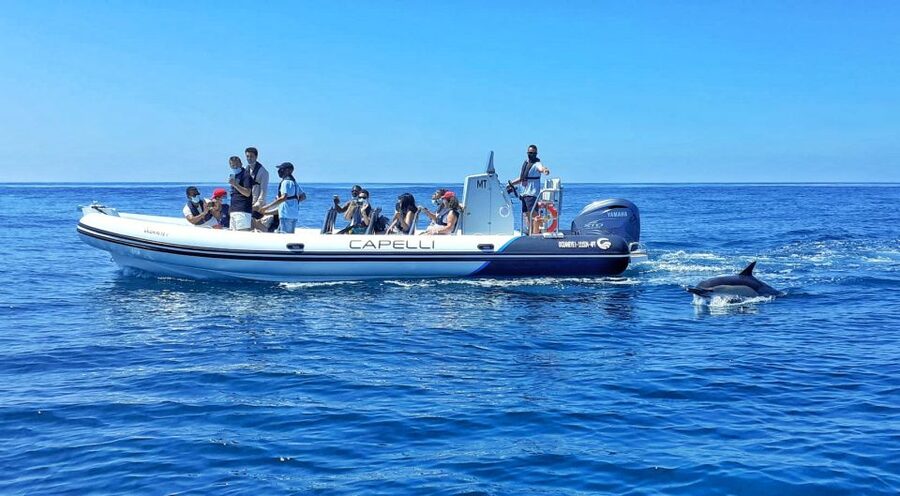 Albufeira: Benagil Cave and Dolphin Sightseeing Boat Cruise - Senhora da Rocha and the Caves Along the Shore