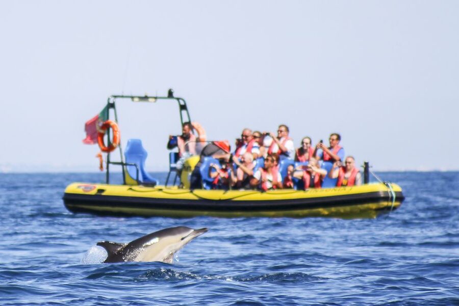 Albufeira: Benagil Caves & Dolphin Watching Speed Boat Tour - Why this Albufeira boat trip works so well