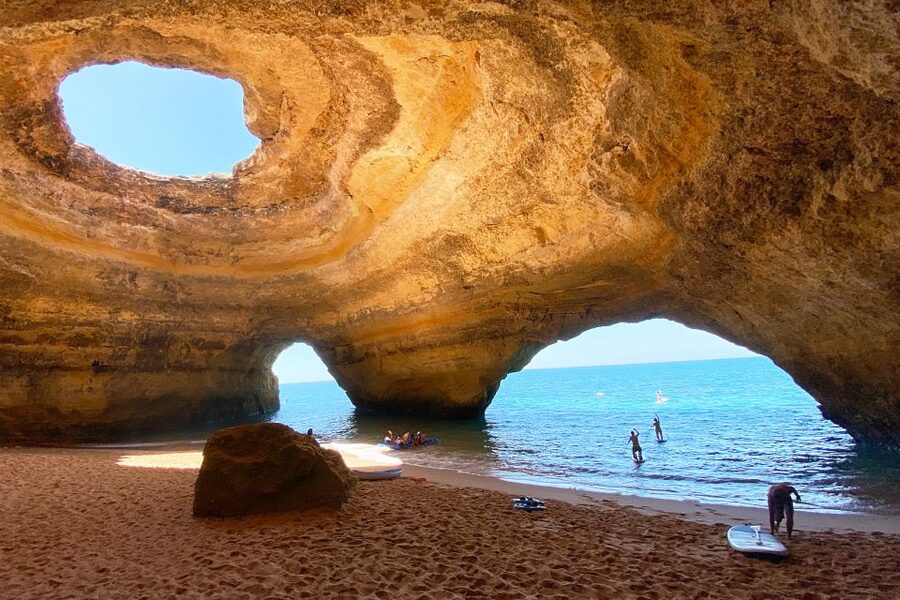 Albufeira: Benagil Caves & Dolphin Watching Speed Boat Tour - Looking for dolphins in their natural setting