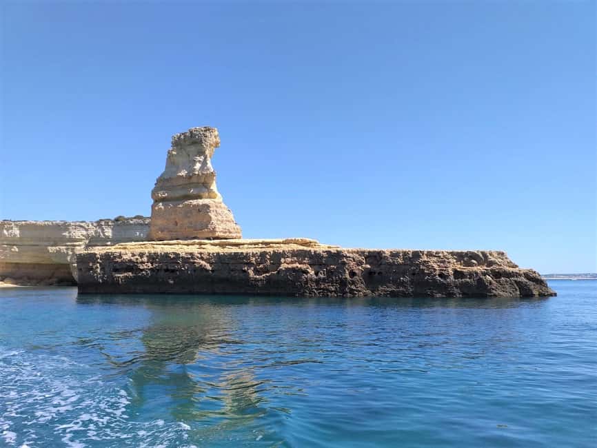 Albufeira: Dolphin Watching and Benagil Cave Boat Cruise - Sea conditions, swimming, and comfort