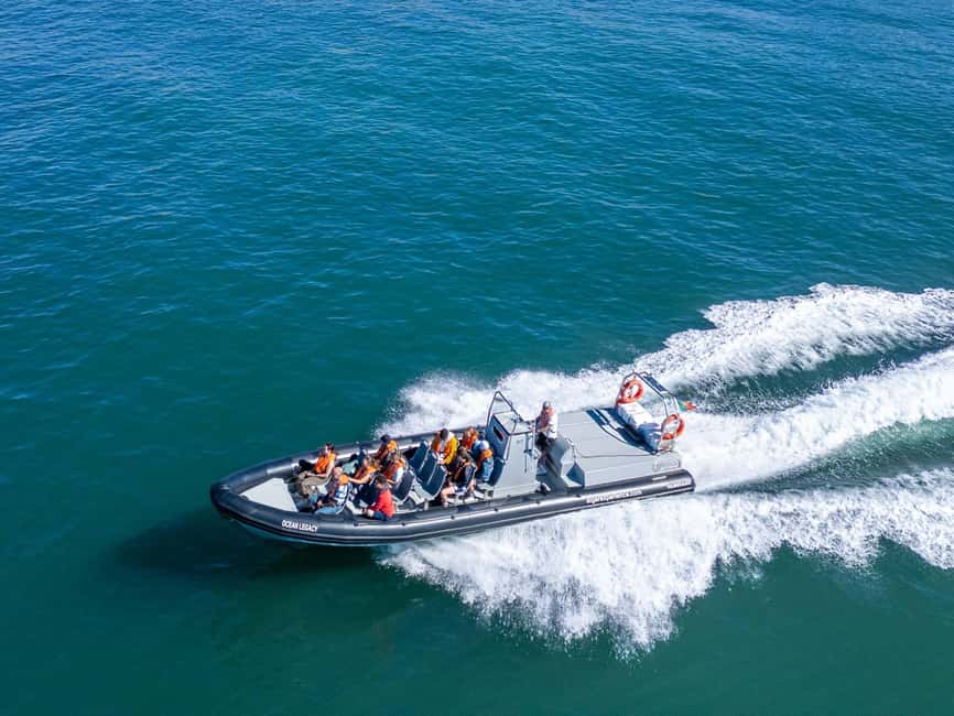 Albufeira: Dolphins & Benagil Caves RIB Tour - The Algarve cliffs from a low boat