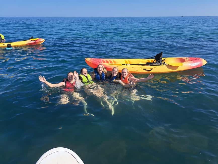 Albufeira: Hidden Beaches & Cliffs Guided Kayak Cave Tour - What the guides add to the experience