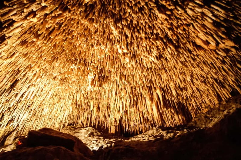 Alcudia: Caves of Drach Tour from the North with Boat Trip - Key points at a glance