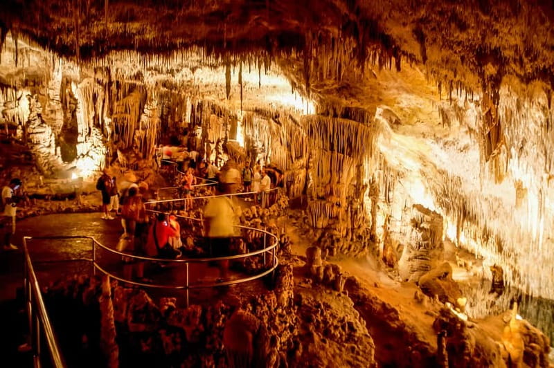 Alcudia: Caves of Drach Tour from the North with Boat Trip - Is $63 good value?