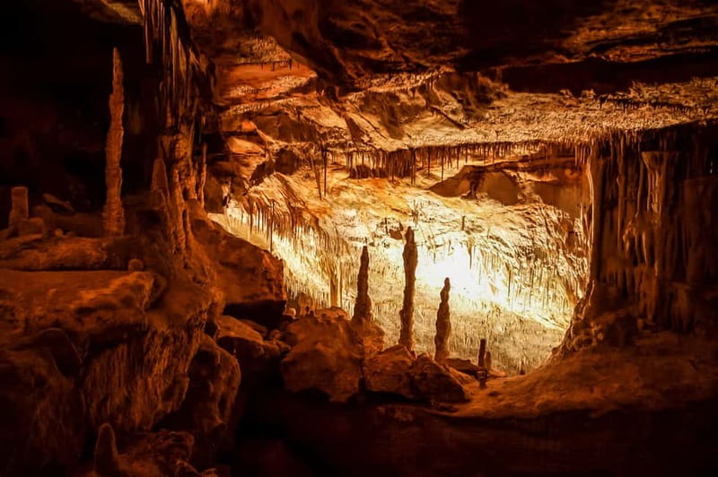 Alcudia: Caves of Drach Tour from the North with Boat Trip - The coach ride from Alcúdia