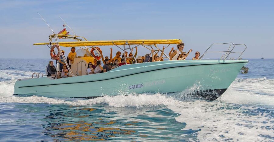 Alcudia: Coll Baix Beach & Sea Caves Cruise with Snorkeling - Key points to know before booking