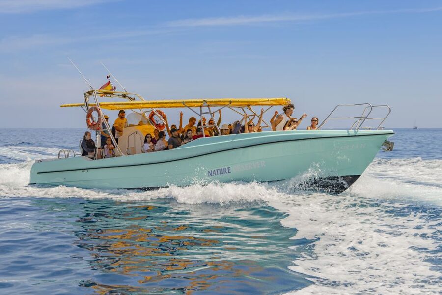 Alcudia: Coll Baix Beach & Sea Caves Cruise with Snorkeling - Pickup from Alcudia, Playa de Muro, and Can Picafort
