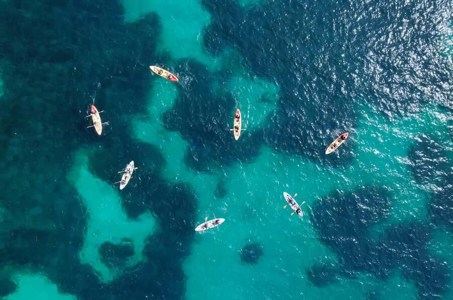 Alcudia: Kayak Tour with Snorkel & Sea Cave Swim - Who should book this Alcudia kayak tour?