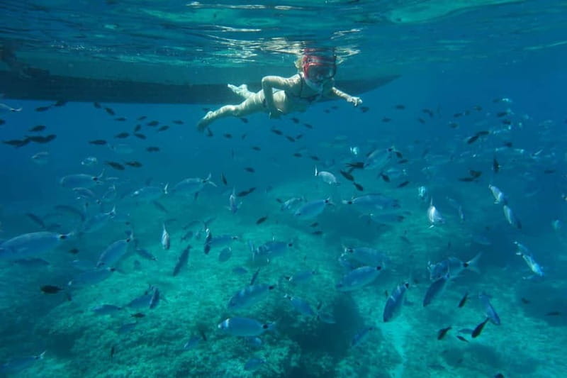Alcudia: Sea Caves Coves and Snorkeling in small groups - Key points to know before booking