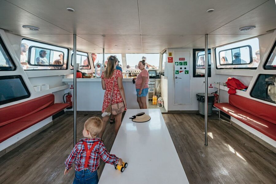 Algarve 3-Hour Caves and Coastline Boat Trip - Who will enjoy this catamaran trip most?