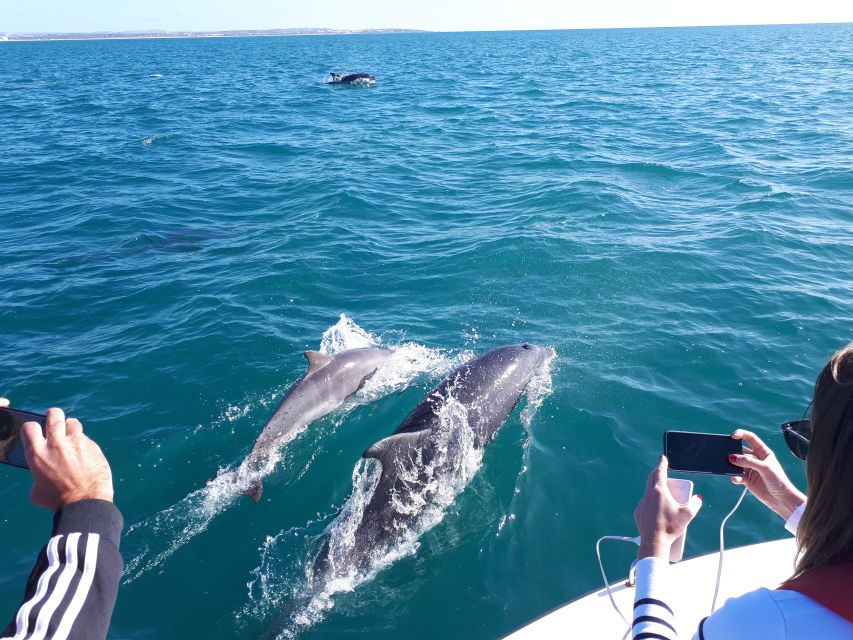 Algarve: Boat Trip to the Caves of Benagil - Ferragudo, beaches, and the first sea cliffs