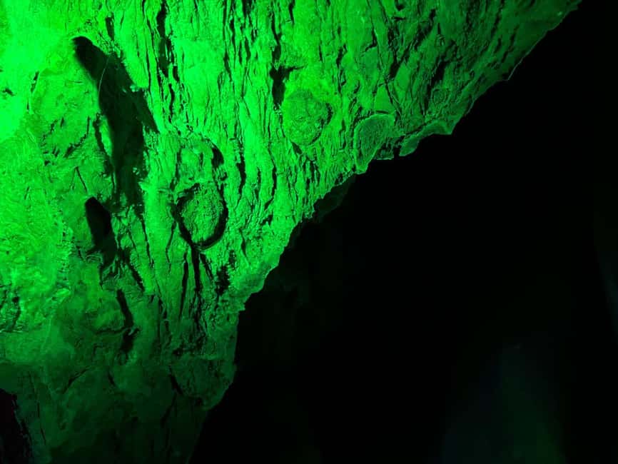 Alicante: Canelobre Caves and Busot Tour - The Ride From Alicante Keeps Things Simple
