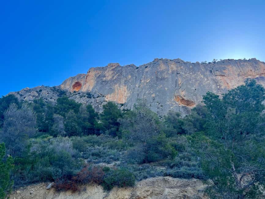 Alicante: Spain's highest cave with transfer included - A small museum with instruments from around the world