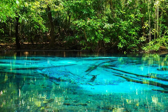 All day Krabi Jungle Tour (Hot Spring Water, Emerald Pool, Tiger Cave Temple) - Namtok Ron brings hot water to the rainforest