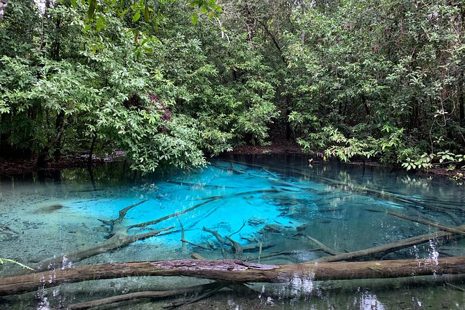 All day Krabi Jungle Tour (Hot Spring Water, Emerald Pool, Tiger Cave Temple) - Transport, guides, and the pace of the day
