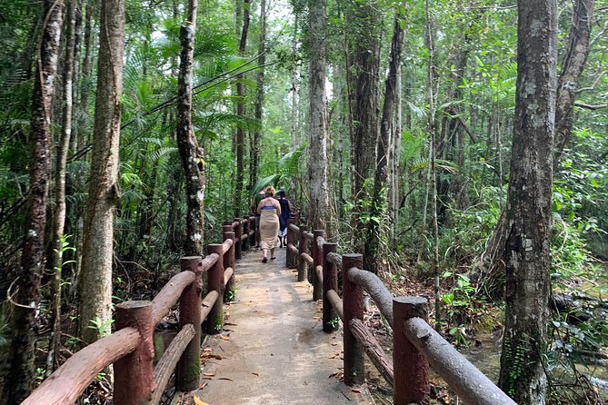 All day Krabi Jungle Tour (Hot Spring Water, Emerald Pool, Tiger Cave Temple) - Walking the nature trail to Emerald Pool