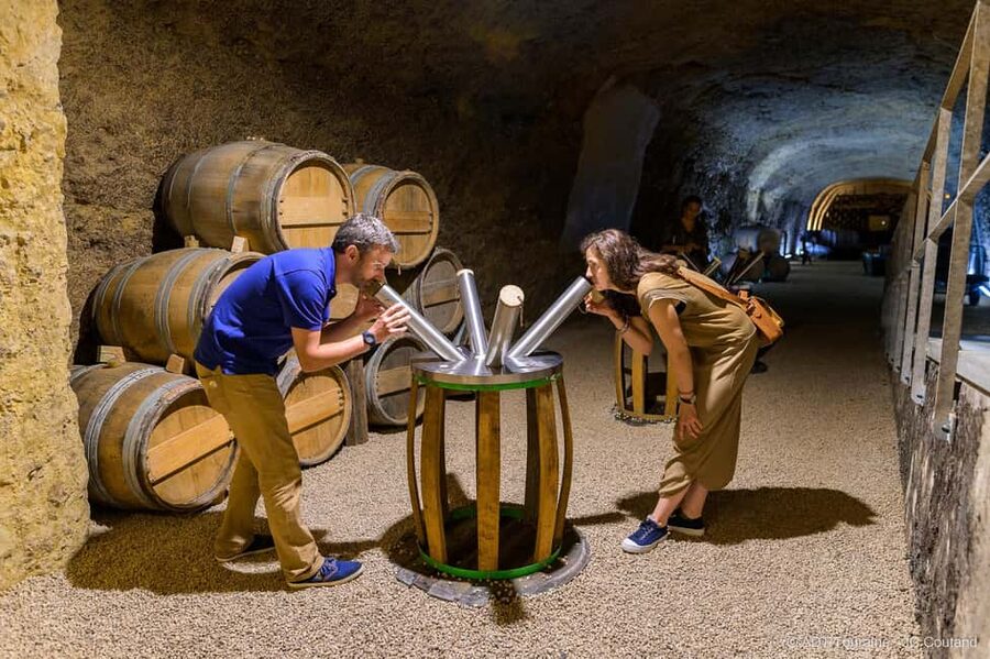 Amboise: Caves Ambacia Visit and Wine Tasting - Should you book Caves Ambacia?