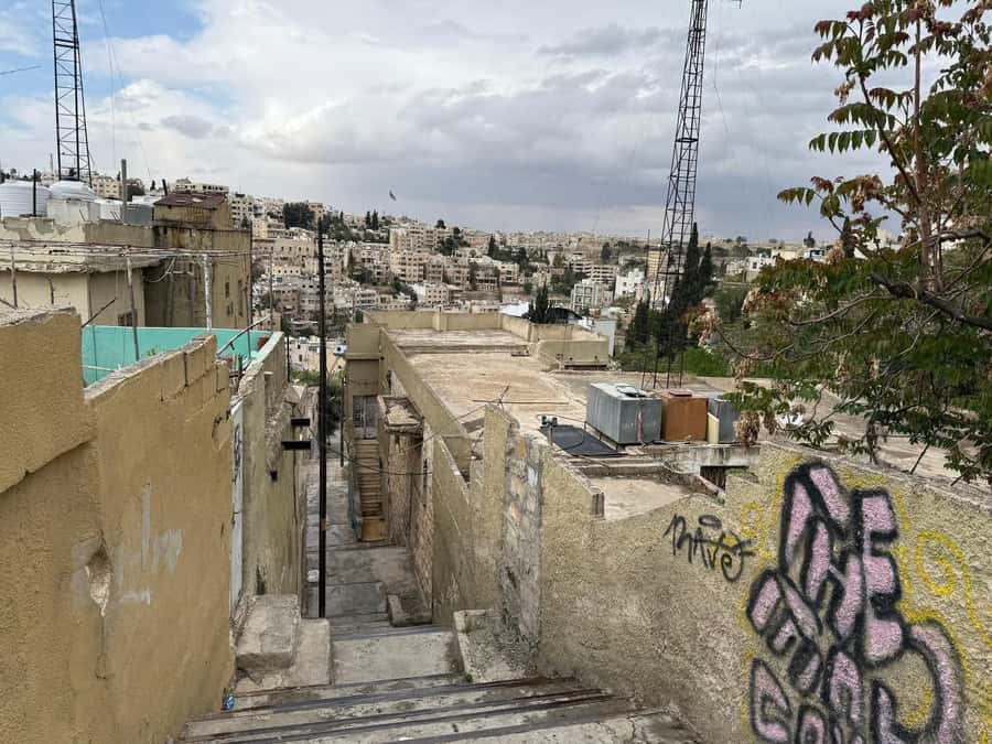 Amman: Hidden Gems & Underground Local Neighborhoods Tour - Street art, galleries, record stores, and workshops