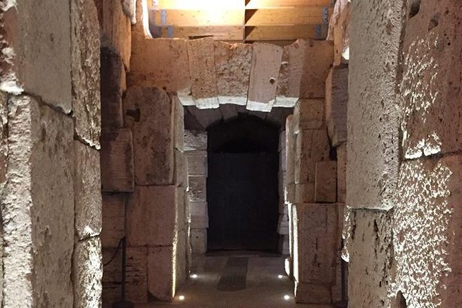 Ancient Rome and Colosseum Private Tour with Underground Chambers and Arena - Should you book it?