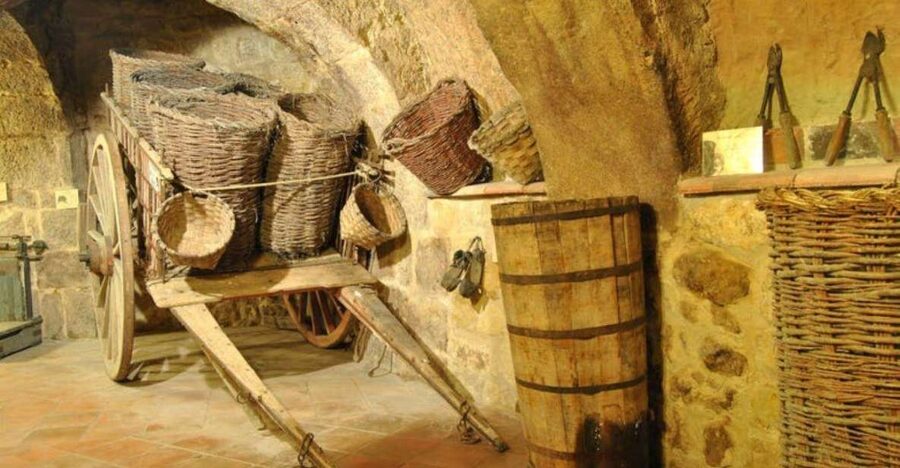 Aranda de Duero: Tour of Underground Cellar and Wine Museum - How the price compares with the experience