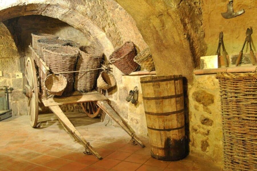 Aranda de Duero: Tour of Underground Cellar and Wine Museum - Starting at C. Cascajar, 4