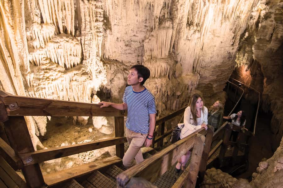 Aranui Cave 1-Hour Guided Tour - Aranui Cave at a glance