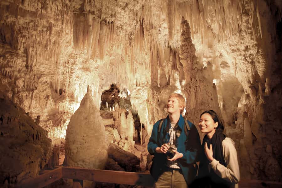 Aranui Cave 1-Hour Guided Tour - Why Aranui Cave feels different from Waitomo’s glowworm visit