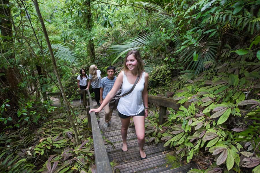 Aranui Cave 1-Hour Guided Tour - Maori stories and local guiding