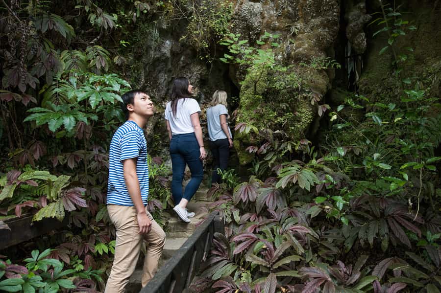 Aranui Cave 1-Hour Guided Tour - How the one-hour timing works