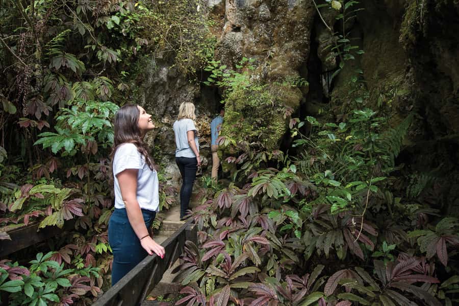 Aranui Cave 1-Hour Guided Tour - Photography, clothing, and comfort