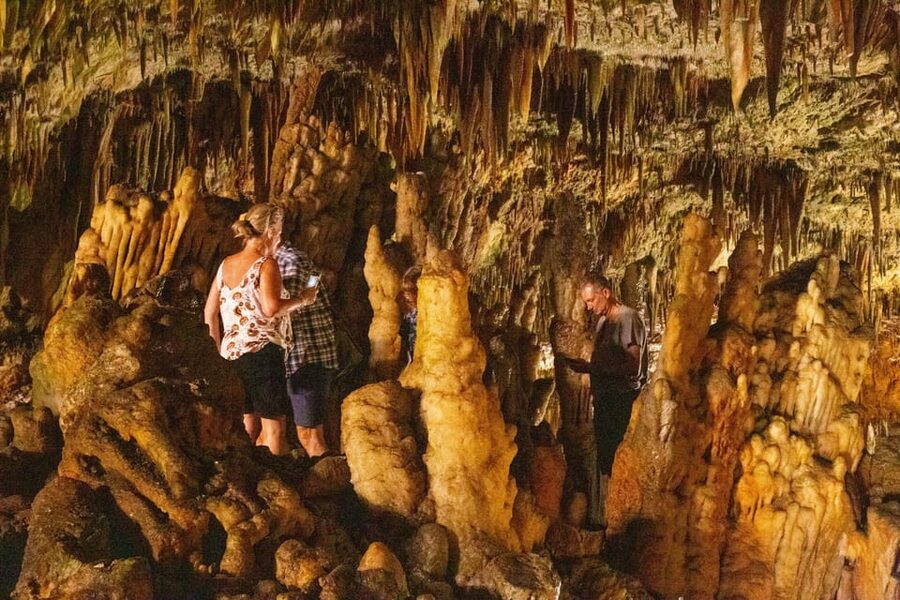 Argostoli: Melissani & Drogarati Cave Tour with Wine Tasting - The Vine: tasting Kefalonian wine