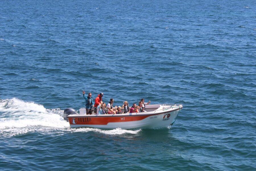 Armação de Pêra: Guided Boat Tour of Benagil's 15 Best Caves - Captain’s Cave and the move toward Benagil