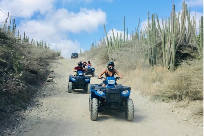 Aruba Off-Road ATV Tour with Cave Pool Swim - Natural Bridge: a quick coastal landmark