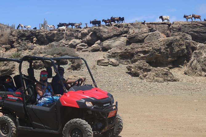 Aruba UTV, ATV Adventure to Secret Beach and Cave Pool - Natural Bridge and volcanic rock
