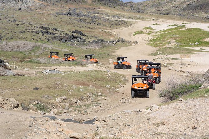 Aruba UTV Tour with Natural Cave Pool and Cliff Jumping - Why this UTV ride shows you a different Aruba