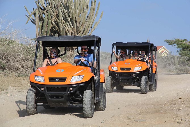 Aruba UTV Tour with Natural Cave Pool and Cliff Jumping - Pickup, vehicles, and the first hour
