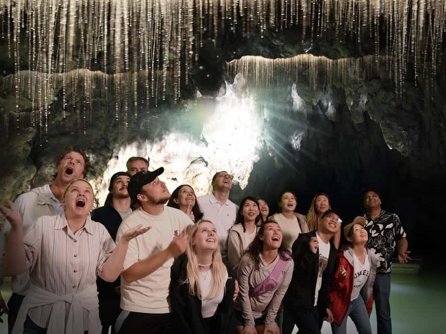 Auckland: Hobbiton & Waitomo Caves Small-Group Tour & Lunch - Lunch in Otorohanga